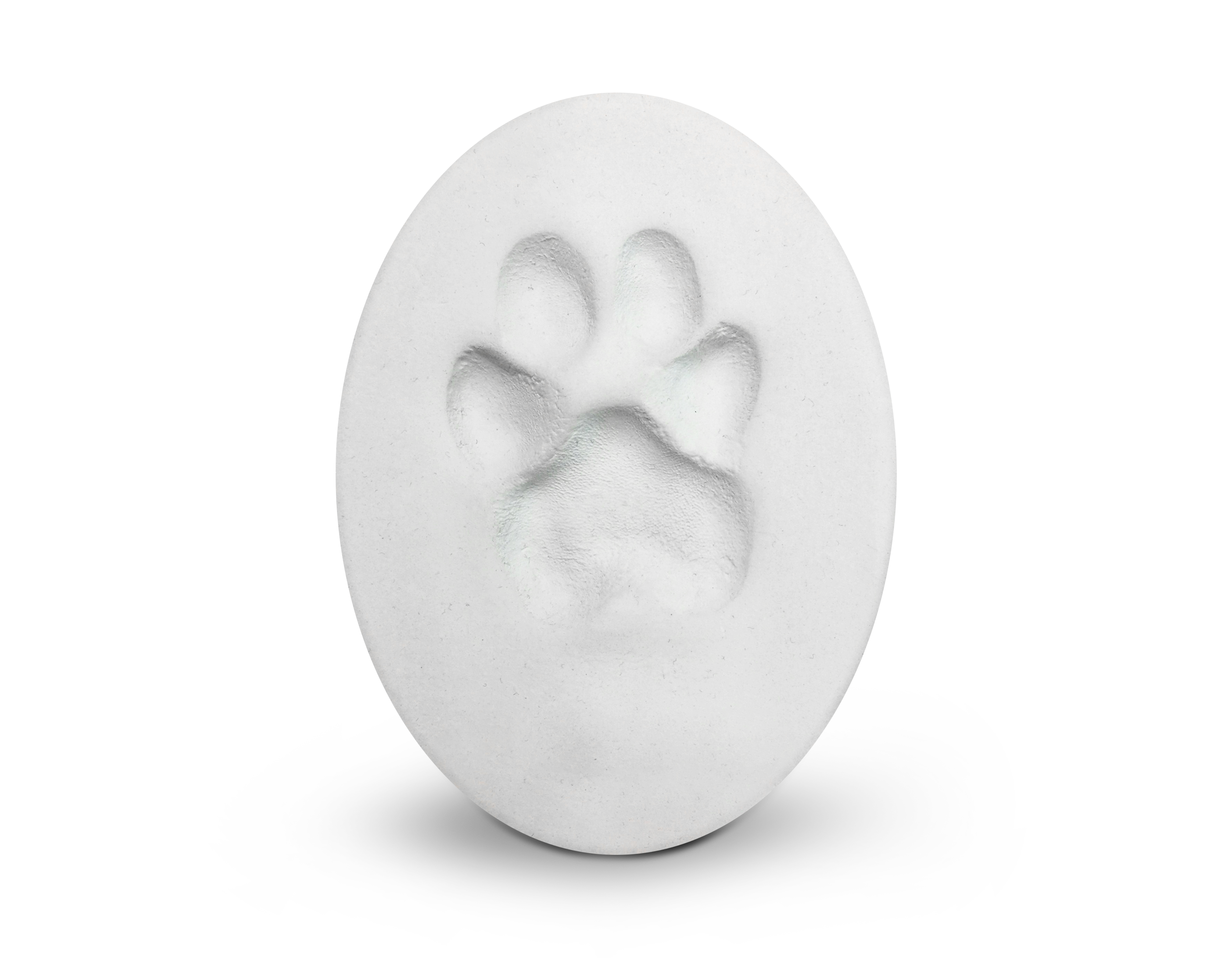 Clay Paw Print Image